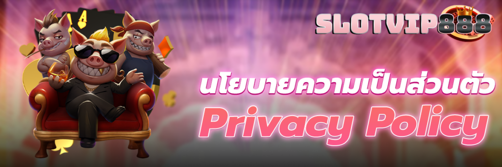 นโยบายความเป็นส่วนตัว
